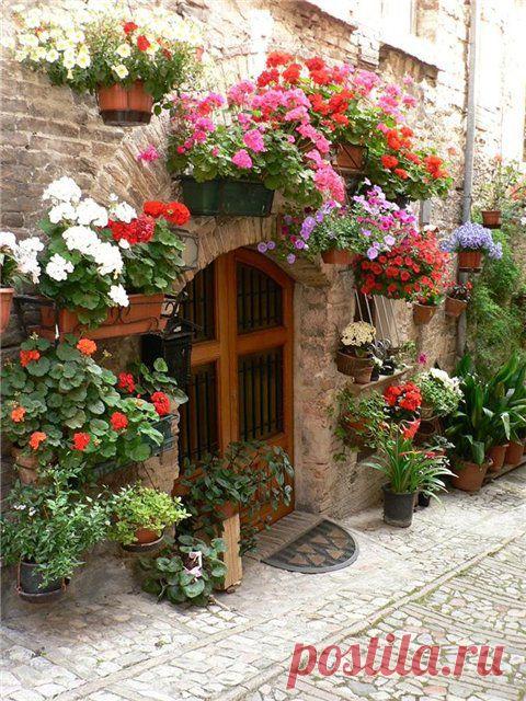 (+1) тема - Оформление крыльца красивыми цветами | Роскошь и уют