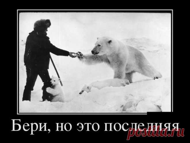Демотиваторы