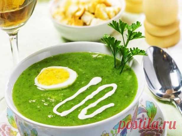 Супы из шпината — лучшие рецепты — Фактор Вкуса