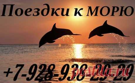 Поездки на МОРЕ из ВЛАДИКАВКАЗА 
#поездкинаморе #отдых #сочи #адлер #владикавказ #автоколесница #гмт #крым #вебкамера #анапа #геленджик #отпуск #температураводы #согпи #поездка #лоо #лазаревское #агой #ольгинка #новомихайловский #джубга #дагомыс #лермонтово #гми #согу #джемете #витязево #бетта #туапсе #небуг 
www.avtokoles.ru