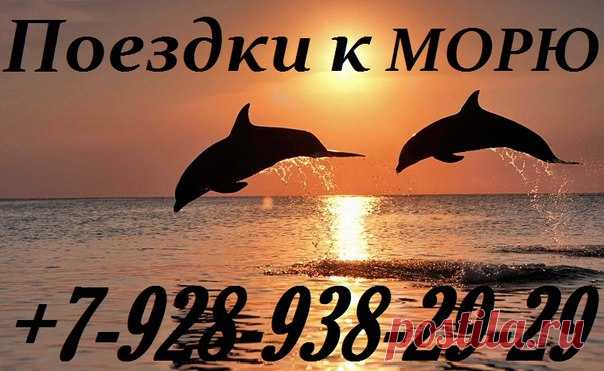 Поездки на МОРЕ из ВЛАДИКАВКАЗА 
#поездкинаморе #отдых #сочи #адлер #владикавказ #автоколесница #гмт #крым #вебкамера #анапа #геленджик #отпуск #температураводы #согпи #поездка #лоо #лазаревское #агой #ольгинка #новомихайловский #джубга #дагомыс #лермонтово #гми #согу #джемете #витязево #бетта #туапсе #небуг 
www.avtokoles.ru