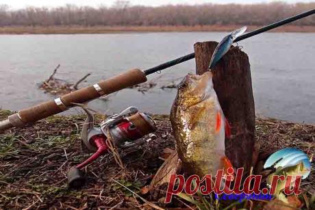 Рабочие приманки для рыбалки зимой по открытой воде на спиннинг Несмотря на то обстоятельство, что в зимний период года рыбалка щуки на спиннинг отличается многими неудобствами, все же имеется среди рыболовов немало поклонников такого зимнего вылова щуки. Но зи…