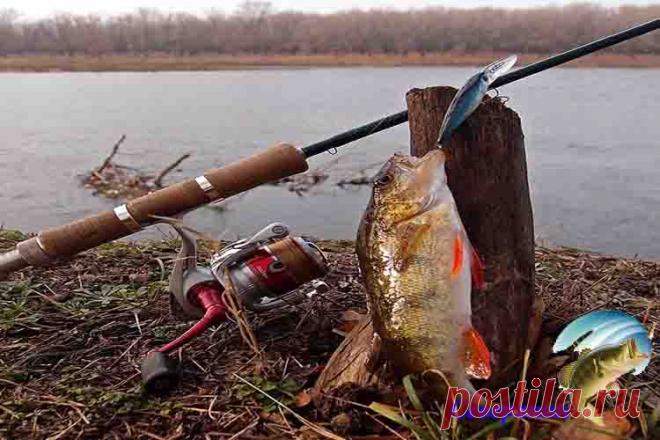 Рабочие приманки для рыбалки зимой по открытой воде на спиннинг Несмотря на то обстоятельство, что в зимний период года рыбалка щуки на спиннинг отличается многими неудобствами, все же имеется среди рыболовов немало поклонников такого зимнего вылова щуки. Но зи…