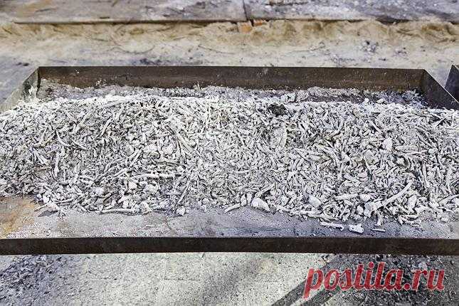 Чем подкормить огурцы для хорошего роста