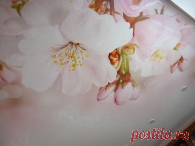 Только с помощью качественных красителей и при использовании дорогого оборудования получаются четкие и выразительные изображения с фотопечатью. Компания «Натяжные потолки» выполняет фотопечать только при помощи