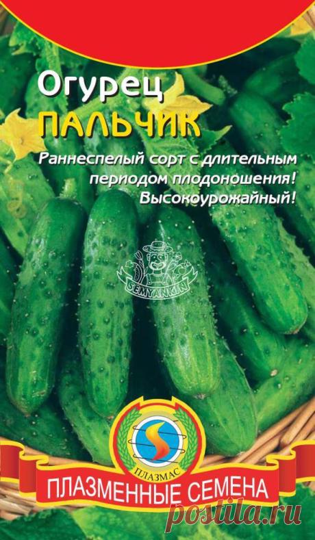 Огурец Пальчик ПЛ