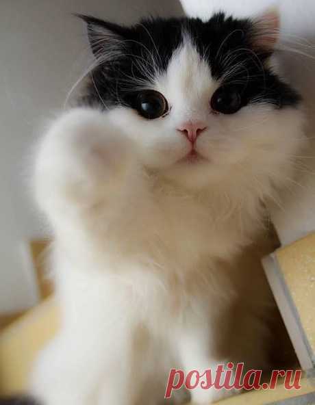 ☼ ❤