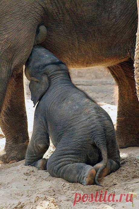 ❁⁀ ♥ ⁀✿ ✫ℒℴνℯ✫ ❁⁀ ♥ ⁀✿