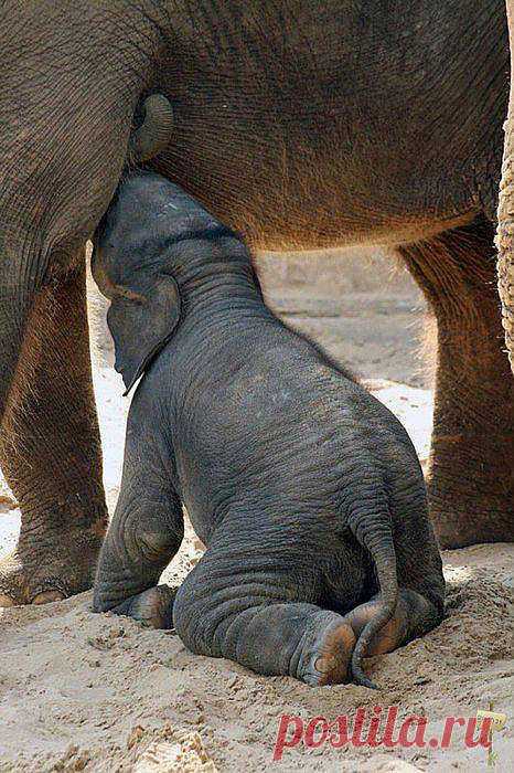 ❁⁀ ♥ ⁀✿ ✫ℒℴνℯ✫ ❁⁀ ♥ ⁀✿