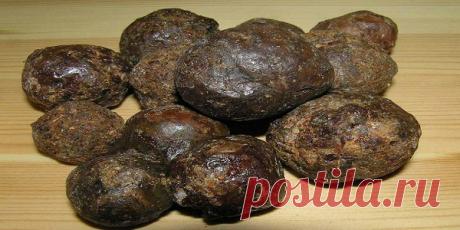 Прополис
ВРАЧИ МОЛЧАТ ОБ ЭТОМ! Единственный продукт, который убивает вирусы, грибок и бактерии одновременно! Работает на клеточном уровне.