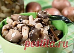 Как быстро и вкусно замариновать вешенки?