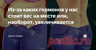 Из-за каких гормонов у нас стоит вес на месте или, наоборот, увеличивается Привет, дорогие мои! Мне очень приятно получать от вас сообщения в группу насчет моих успехов в кето-диете. И приятно, что вы задаете вопросы, и мы пытаемся всё решить вместе :-)
Моя цель, преследуемая при переходе на рацион из 