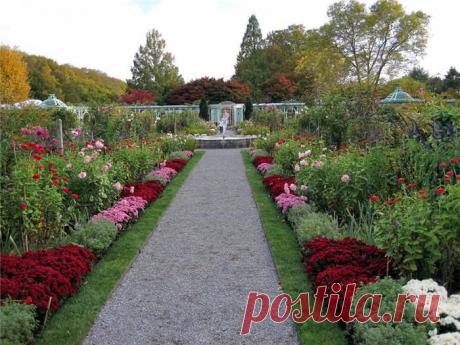 Дом, дача, огород, дачная мебель, баня, коптильня | Записи в рубрике Дом, дача, огород, дачная мебель, баня, коптильня | Дневник Три И ночка