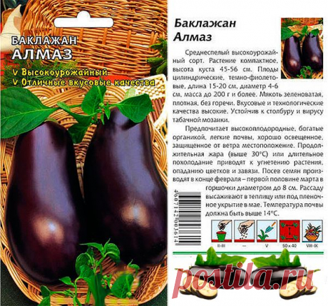 Характеристика сорта баклажана Алмаз с фото и отзывами