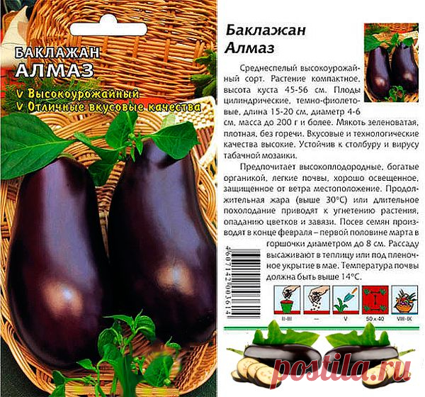 Характеристика сорта баклажана Алмаз с фото и отзывами