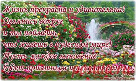 И слезы, и смех, и счастье, и горе - это и есть жизнь