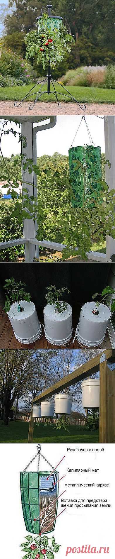 ОГОРОД ВВЕРХ ТОРМАШКАМИ ИЛИ ВЫРАЩИВАНИЕ РАСТЕНИЙ В ПЕРЕВЕРНУТОМ ВИДЕ. | Самоцветик