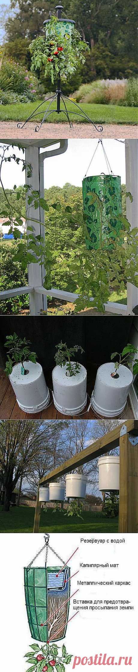 ОГОРОД ВВЕРХ ТОРМАШКАМИ ИЛИ ВЫРАЩИВАНИЕ РАСТЕНИЙ В ПЕРЕВЕРНУТОМ ВИДЕ. | Самоцветик