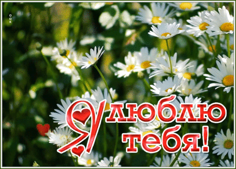 Хорошая открытка я тебя люблю