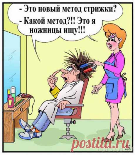 Самые интересные и смешные Анекдоты