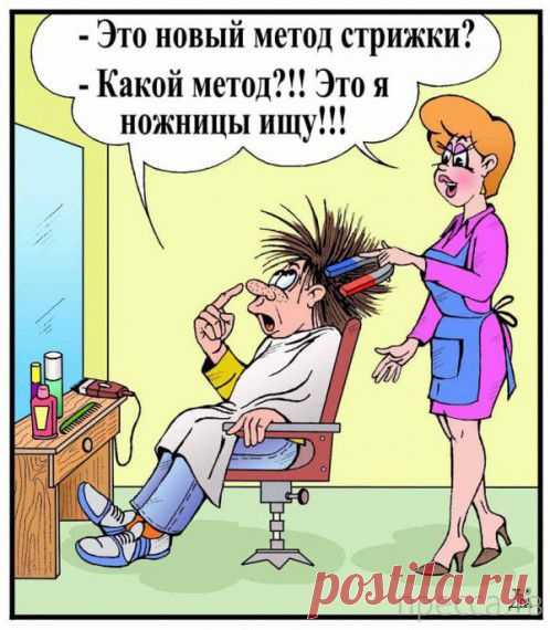 Самые интересные и смешные Анекдоты