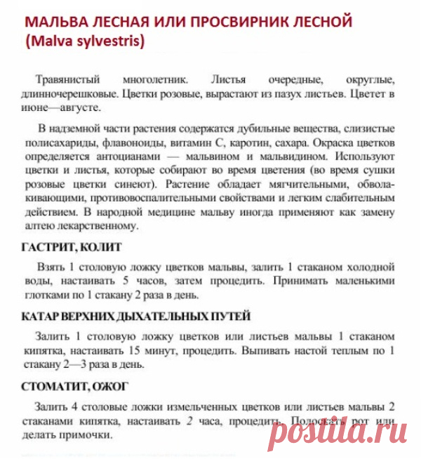 Мальва лесная или просвирник лесной.
Травник. Золотые рецепты народной медицины. Универсальный справочник. Москва 2007