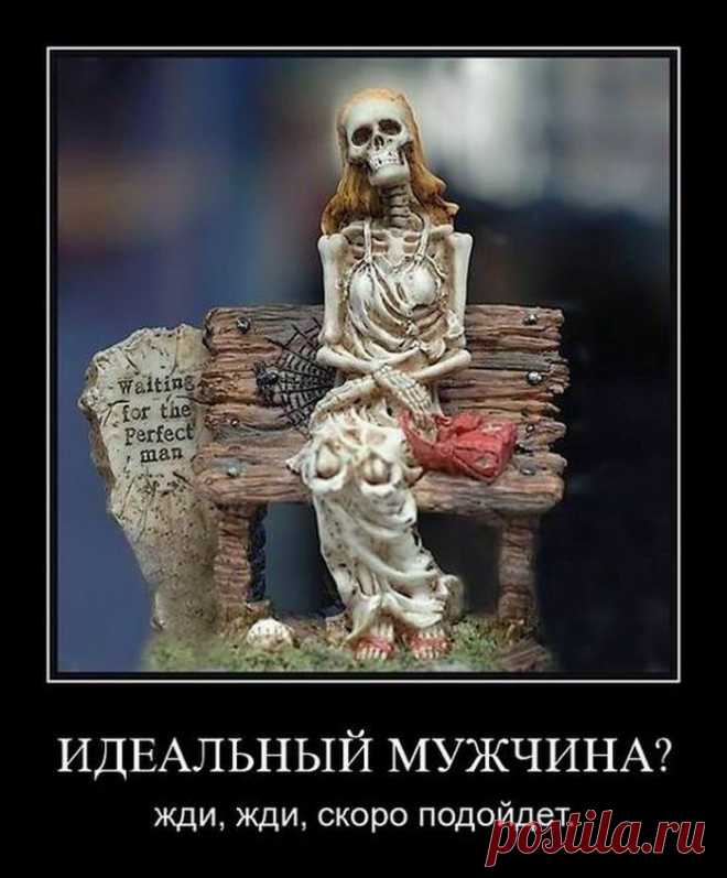 идеальный мужчина
