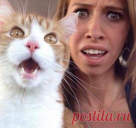 Прикольные картинки