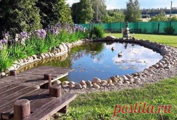 Осталось рыбу завести и на даче можно жить