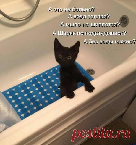 А может не надо...
