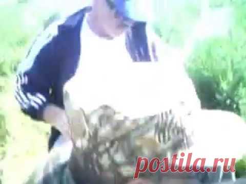UA3R/P - YouTube