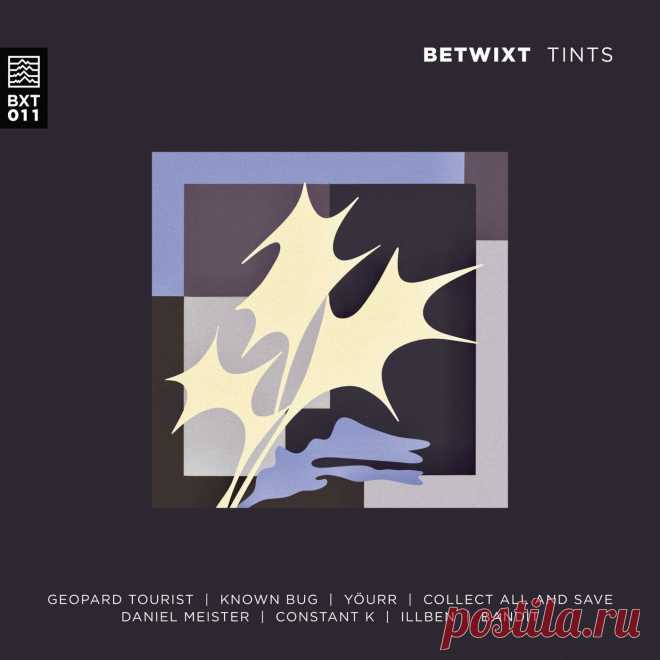 VA - TINTS BXT011 » MinimalFreaks.co