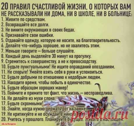 Хорошие правила и несложные!