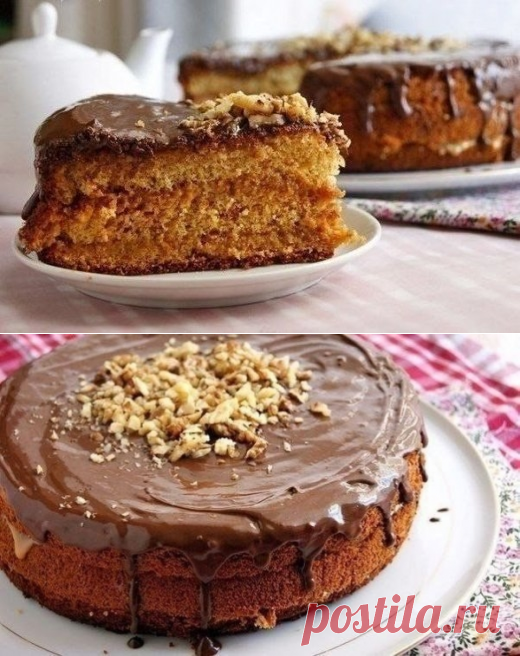 Очень вкусный нежный медовый бисквит | Golbis