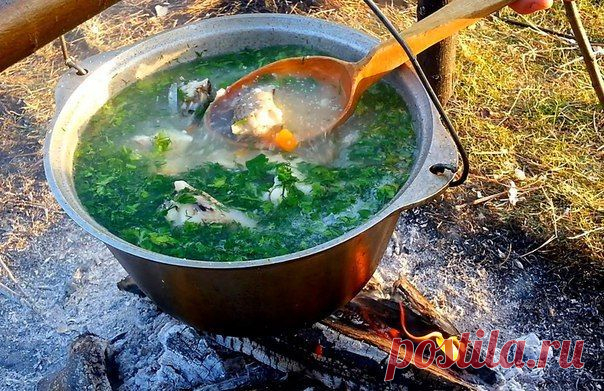 Приятного ужина, рыбаки) / Богатая добыча