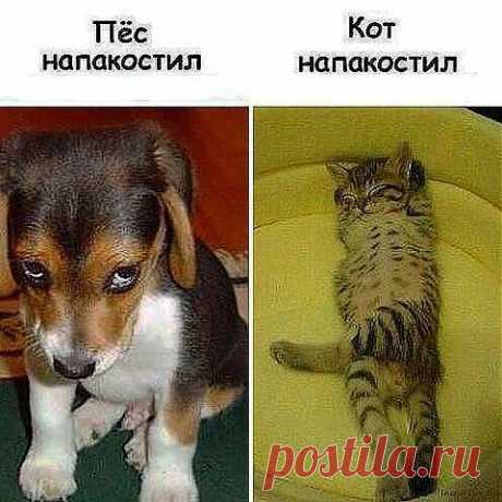 ... ну, чтО тут сказать???