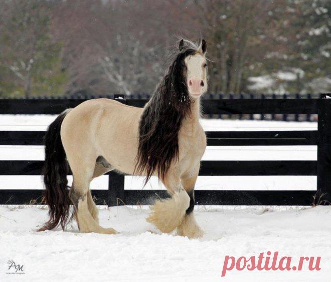 ☮ * ° ♥ ˚ℒℴѵℯ cjf