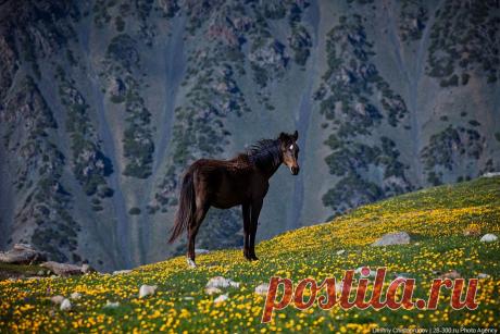 Григорьевское ущелье Иссык-Куля | ФОТО НОВОСТИ