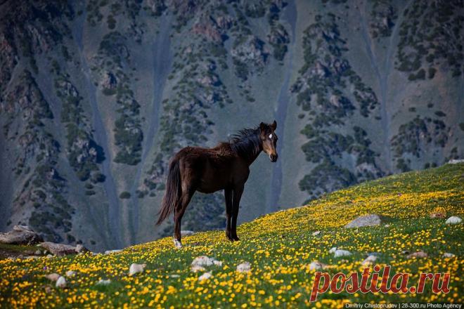 Григорьевское ущелье Иссык-Куля | ФОТО НОВОСТИ