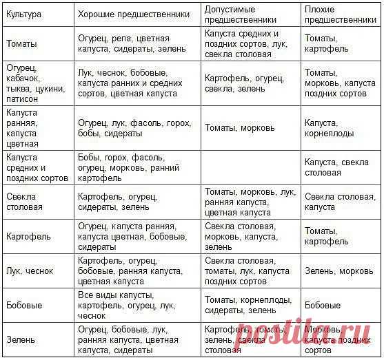 Таблица чередования посевов овощей в огороде 

Из севооборота овощей можно извлечь выгоду. Это и защита растений от вредителей и болезней, и сохранение плодородия почвы. Но недостаточно просто менять овощи местами от сезона к сезону, нужно учитывать, какие предшественники наиболее полезны для каждой овощной культуры. 

При севообороте соблюдаем правило: не сеять одну и ту же культуру второй год на старое место. Это относится и к представителям одного и того же семейства ку...