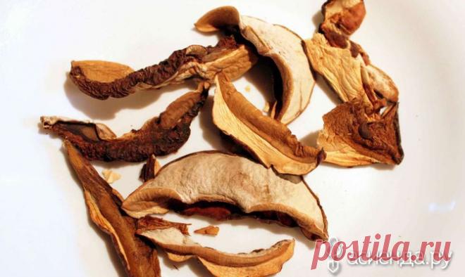 Как правильно сушить грибы / Асиенда.ру