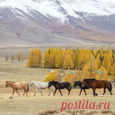Горный Алтай