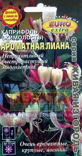 Каприфоль (жимолость) "Ароматная лиана"