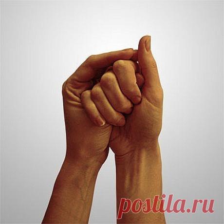 ღМУДРА &quot;РАКОВИНА&quot;
Мудра &quot;Раковина&quot; - &quot;шанкха&quot; - атрибут бога Шивы, имя нагазмея, живущего в подземном царстве. 

Показания: все заболевания горла, гортани, охриплость голоса. При выполнении этой мудры усиливается голос, поэтому особенно рекомендуем певцам, артистам, учителям, ораторам.