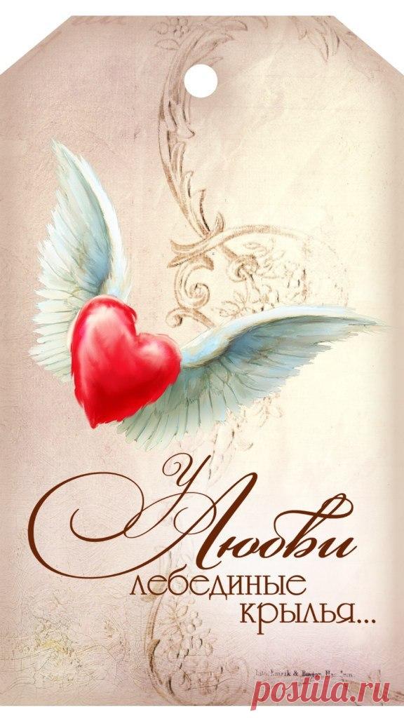 7rKa_DXaECU.jpg (576×1024)