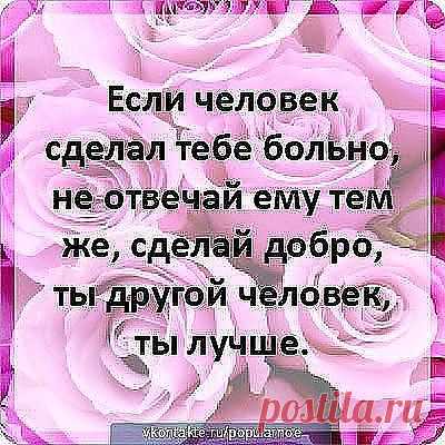 Любовь - это результат служения близкому человеку добрыми поступками, словами, прощением
