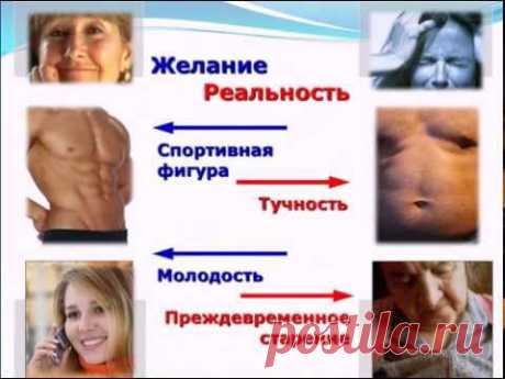 Много веков люди пытаются найти секрет вечной молодости. Они разными способами стремятся отодвинуть наступление старости и сохранить здоровье... 
 Сегодня этот вопрос не теряет своей актуальности. Наука движется вперёд и открывает всё новые и подчас изумляющие результаты по вопросам старения, позволяющие ближе подойти к разгадке.