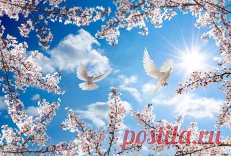 Фотографии Ева @@@ - 750 фото в Моем Мире.