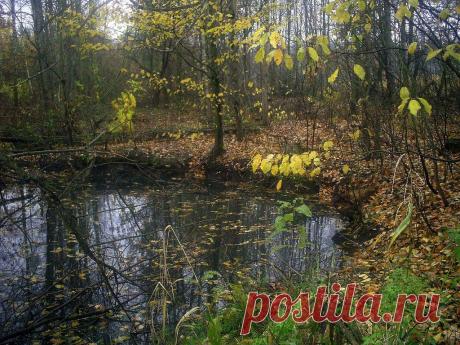 ФОТОМАСТЕРСКАЯ ПРИРОДЫ
Тамара (Шапошникова) Тищенко