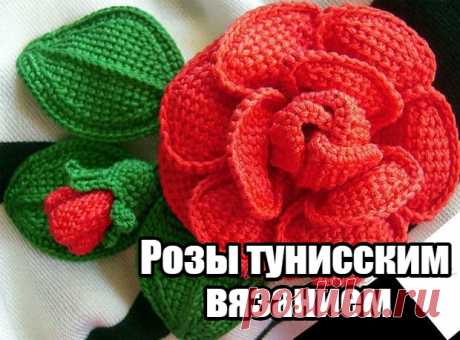​Розы тунисским вязанием — DIYIdeas